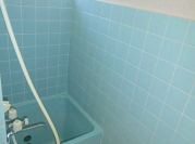 CIMG0841.jpg